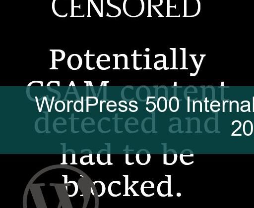 wordpress 500 internal server error — a frustrated business owner looking at a laptop with an error message